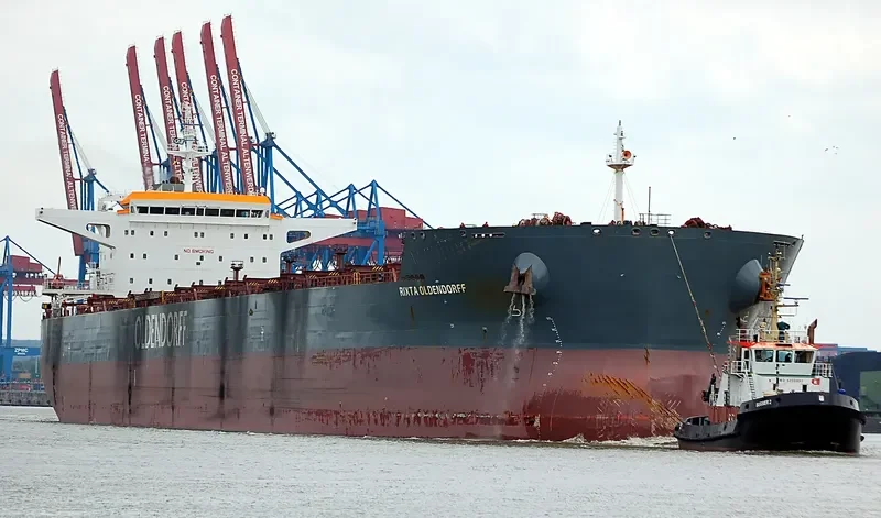 RIXTA OLDENDORFF Bulk Carrier IMO 9598567 photo 7