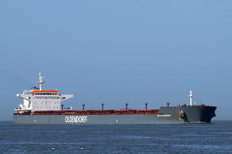 RIXTA OLDENDORFF Bulk Carrier IMO 9598567 photo 10