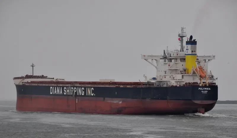 POLYMNIA Bulk Carrier IMO 9598660
