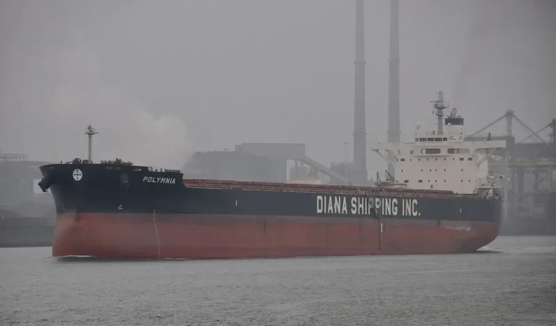 POLYMNIA Bulk Carrier IMO 9598660 photo 2