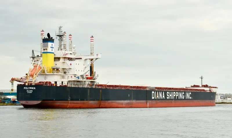 POLYMNIA Bulk Carrier IMO 9598660 photo 5