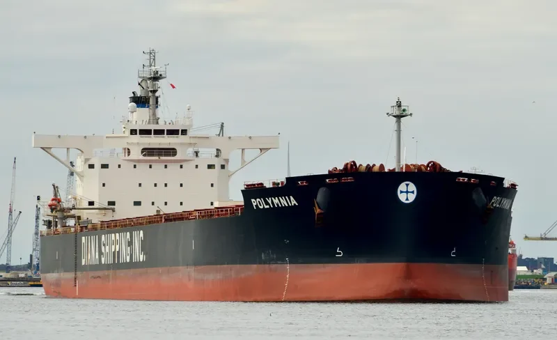 POLYMNIA Bulk Carrier IMO 9598660 photo 6