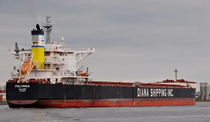 POLYMNIA Bulk Carrier IMO 9598660 photo 7