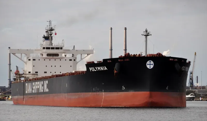 POLYMNIA Bulk Carrier IMO 9598660 photo 8
