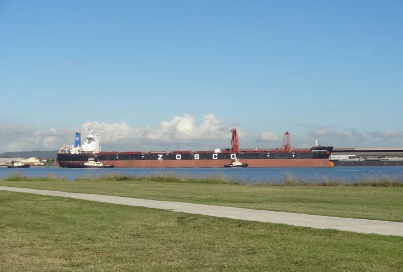 ESL SEAL Bulk Carrier IMO 9598701 photo 2