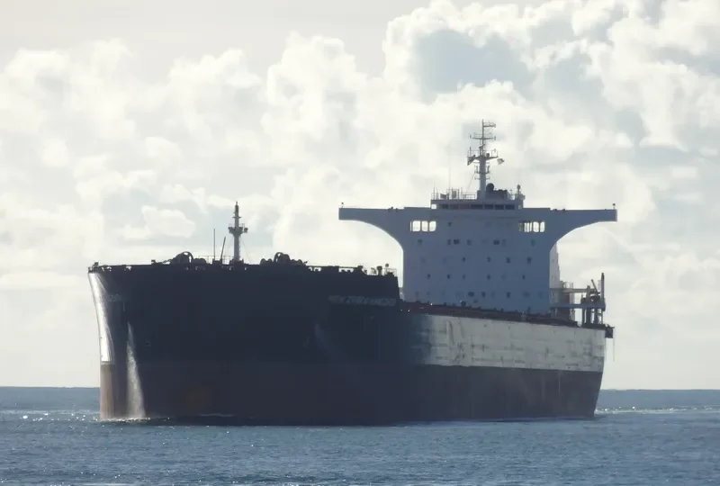 ESL SEAL Bulk Carrier IMO 9598701 photo 3