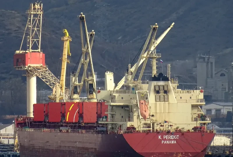 PERIDOT Bulk Carrier IMO 9598725