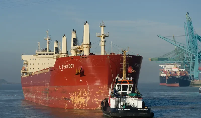 PERIDOT Bulk Carrier IMO 9598725 photo 2