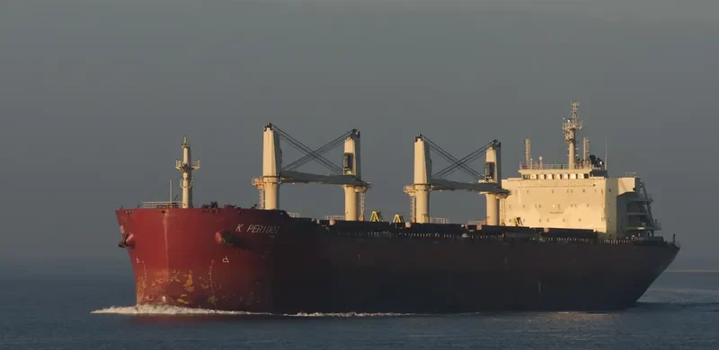 PERIDOT Bulk Carrier IMO 9598725 photo 5