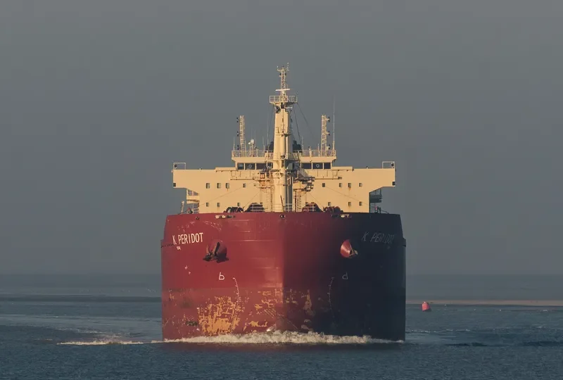 PERIDOT Bulk Carrier IMO 9598725 photo 6