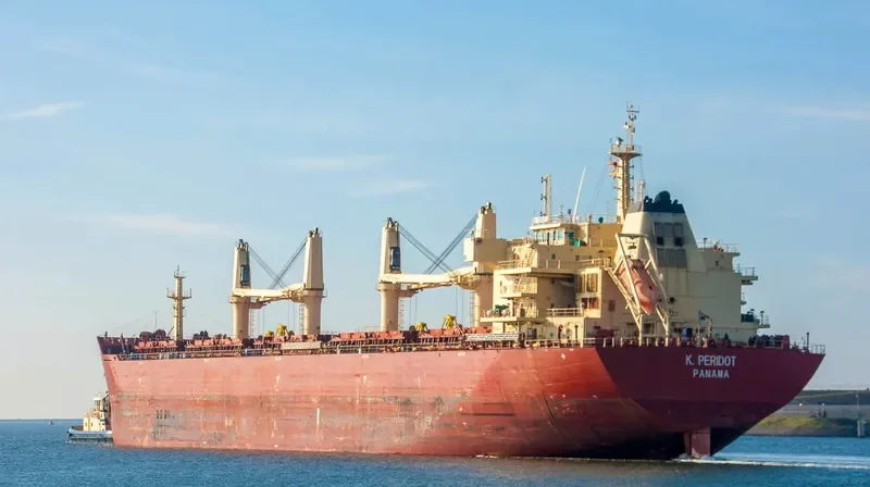 PERIDOT Bulk Carrier IMO 9598725 photo 7