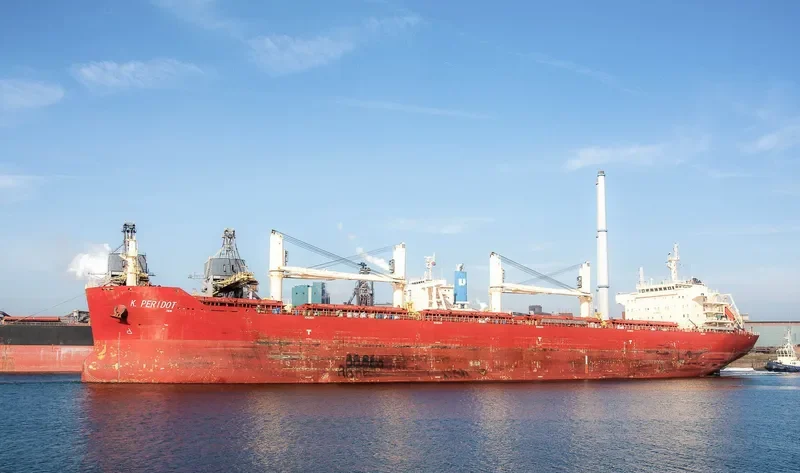 PERIDOT Bulk Carrier IMO 9598725 photo 8