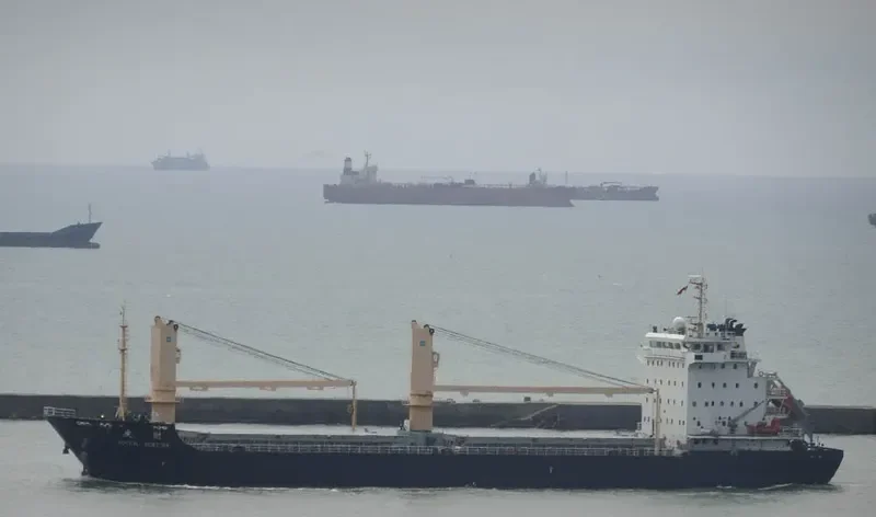 JOYFUL FORTUNE General Cargo IMO 9598775