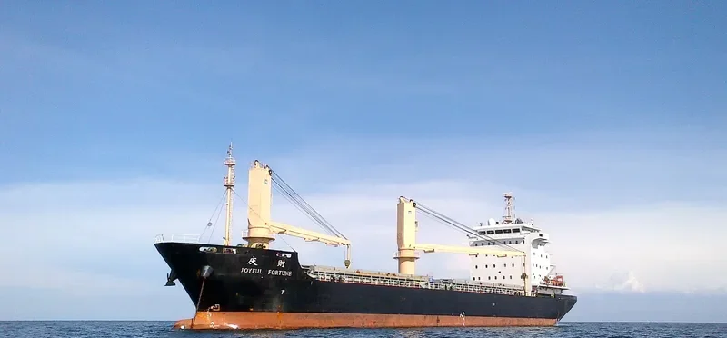 JOYFUL FORTUNE General Cargo IMO 9598775 photo 4