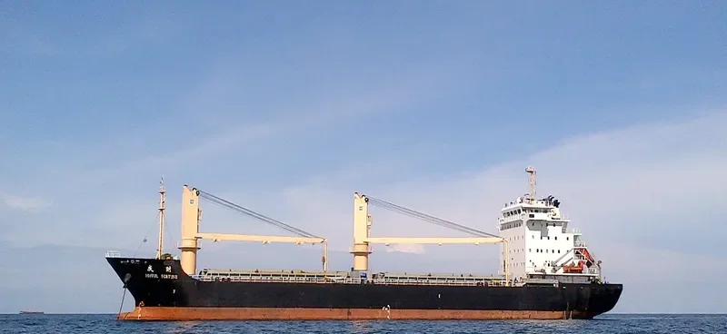 JOYFUL FORTUNE General Cargo IMO 9598775 photo 6