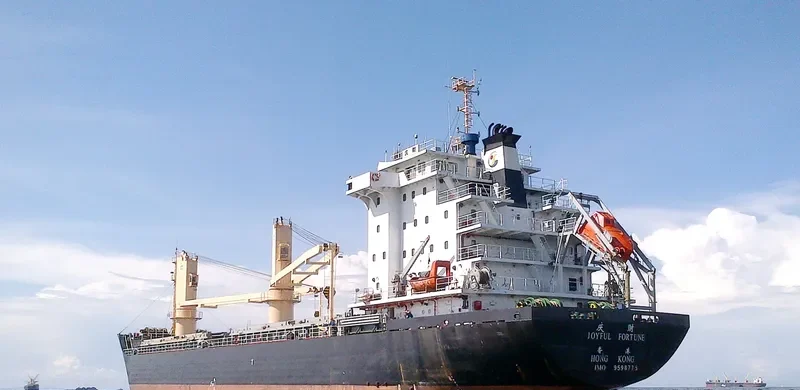 JOYFUL FORTUNE General Cargo IMO 9598775 photo 7