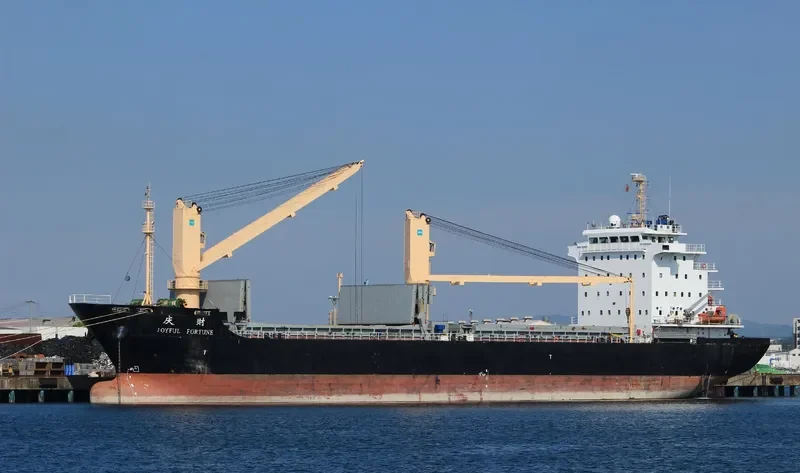 JOYFUL FORTUNE General Cargo IMO 9598775 photo 8