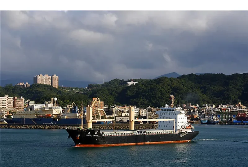 JOYFUL FORTUNE General Cargo IMO 9598775 photo 9