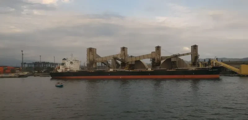 IOLCOS CONFIDENCE Bulk Carrier IMO 9598799