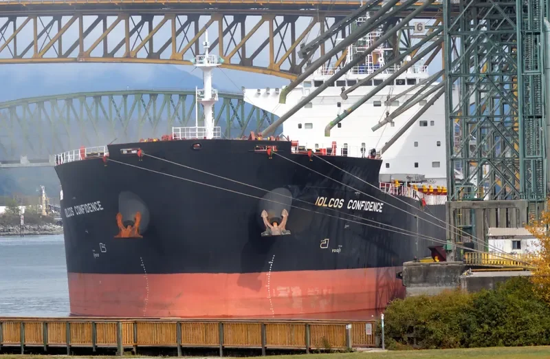 IOLCOS CONFIDENCE Bulk Carrier IMO 9598799 photo 3