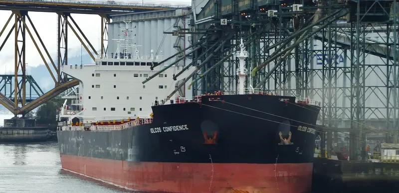IOLCOS CONFIDENCE Bulk Carrier IMO 9598799 photo 5