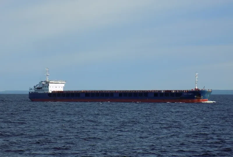 NEVA LEADER 2 General Cargo IMO 9598828
