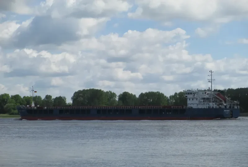 NEVA LEADER 2 General Cargo IMO 9598828 photo 2