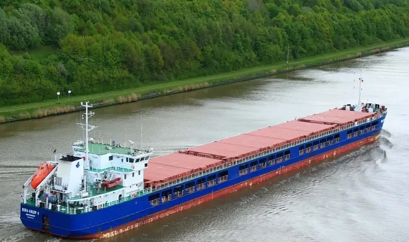 NEVA LEADER 4 General Cargo IMO 9598842 photo 9