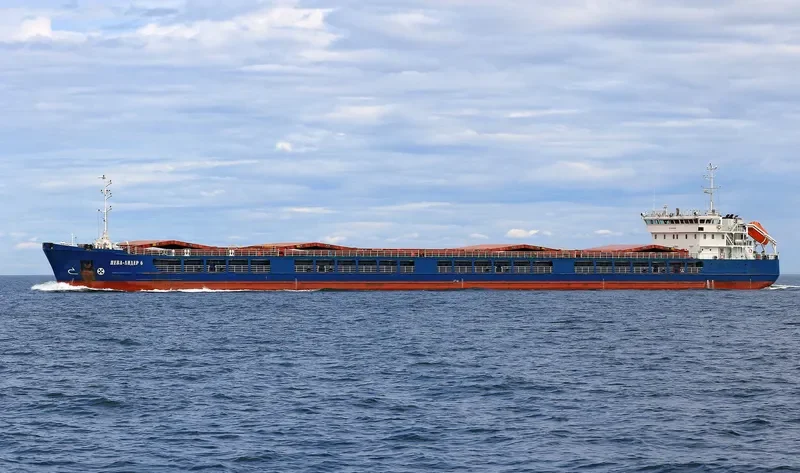 NEVA LEADER 6 General Cargo IMO 9598866 photo 7