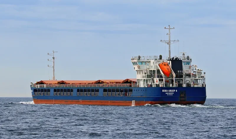 NEVA LEADER 6 General Cargo IMO 9598866 photo 8