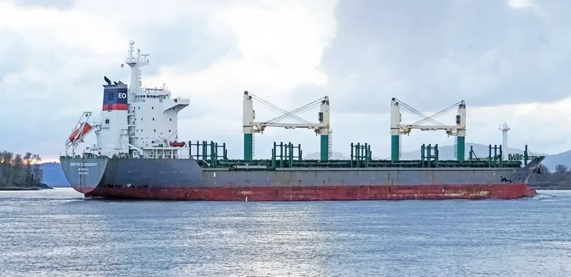 DORTHE OLDENDORFF General Cargo IMO 9598921 photo 3