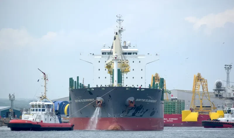 DORTHE OLDENDORFF General Cargo IMO 9598921 photo 8