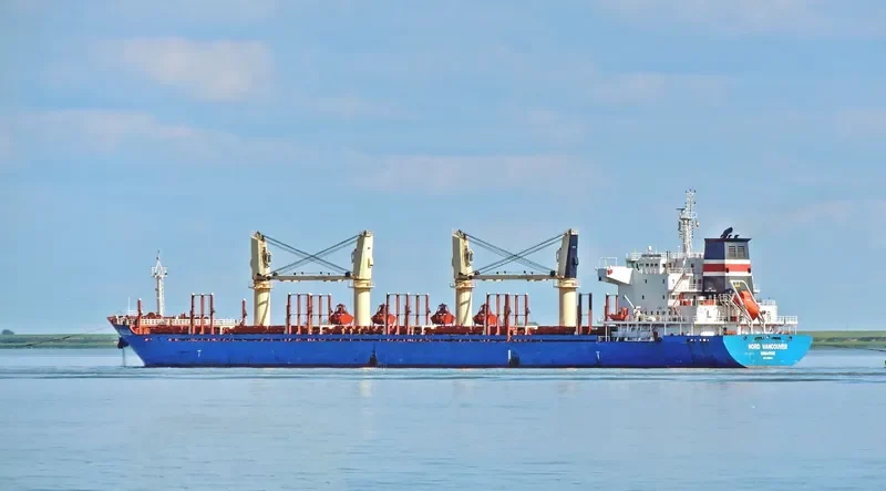 CLIPPER PANORAMA Bulk Carrier IMO 9598995 photo 6