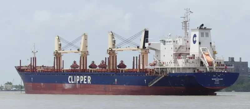 SEAMEC GALLANT Bulk Carrier IMO 9599004