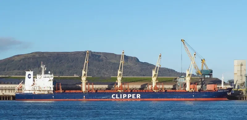 SEAMEC GALLANT Bulk Carrier IMO 9599004 photo 2