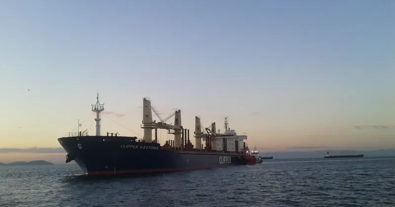 SEAMEC GALLANT Bulk Carrier IMO 9599004 photo 3