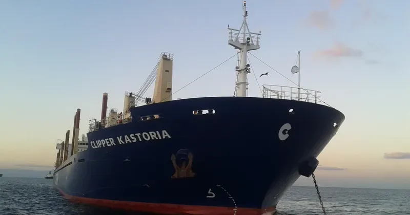 SEAMEC GALLANT Bulk Carrier IMO 9599004 photo 4