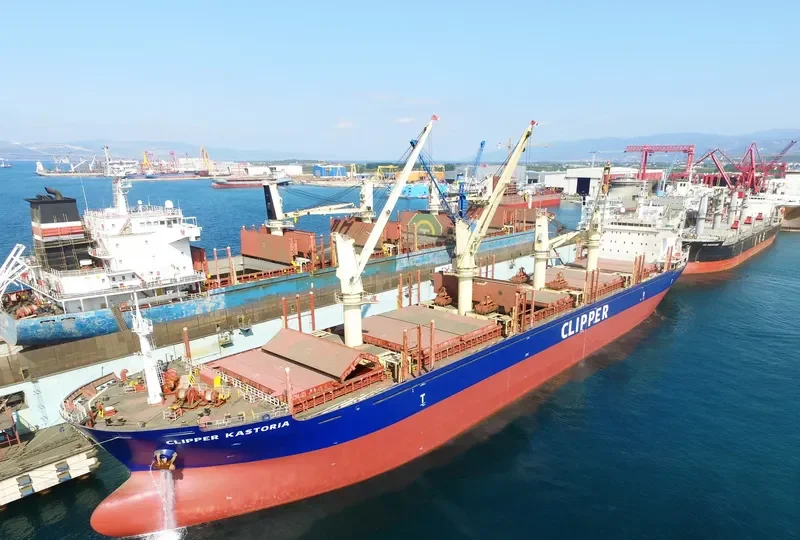 SEAMEC GALLANT Bulk Carrier IMO 9599004 photo 7
