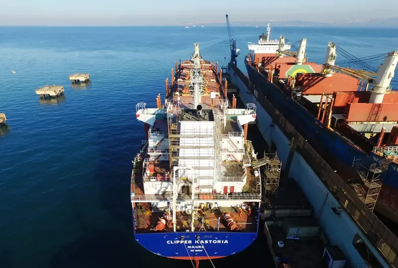 SEAMEC GALLANT Bulk Carrier IMO 9599004 photo 8