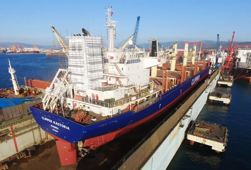 SEAMEC GALLANT Bulk Carrier IMO 9599004 photo 9