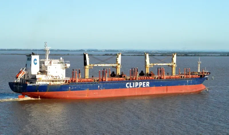 NESTOR I Bulk Carrier IMO 9599016 photo 5