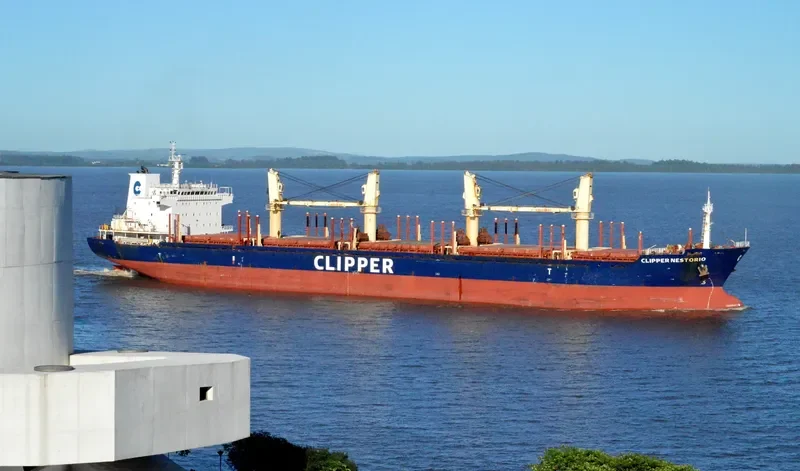NESTOR I Bulk Carrier IMO 9599016 photo 6