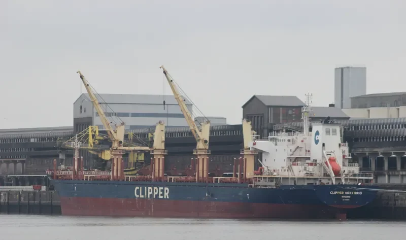 NESTOR I Bulk Carrier IMO 9599016 photo 7