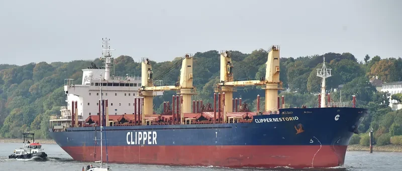 NESTOR I Bulk Carrier IMO 9599016 photo 10