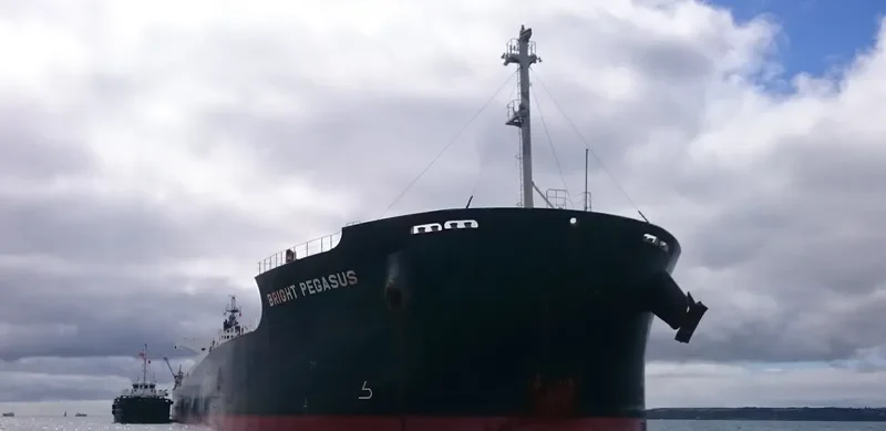 BRIGHT PEGASUS Bulk Carrier IMO 9599080 photo 6