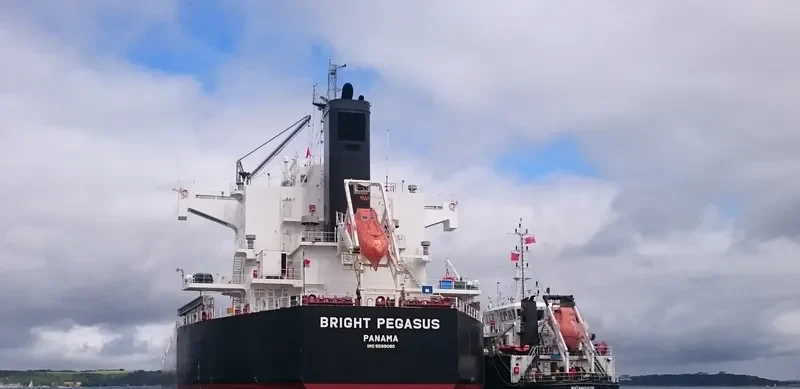 BRIGHT PEGASUS Bulk Carrier IMO 9599080 photo 7
