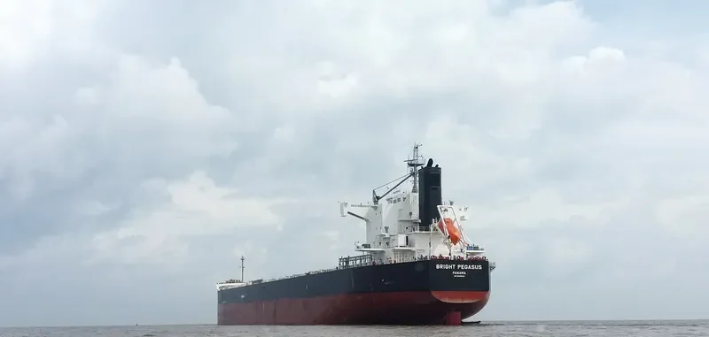 BRIGHT PEGASUS Bulk Carrier IMO 9599080 photo 10