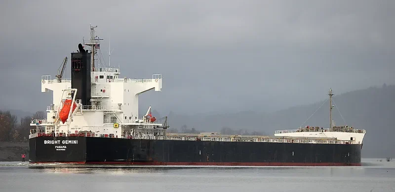 BRIGHT GEMINI Bulk Carrier IMO 9599092