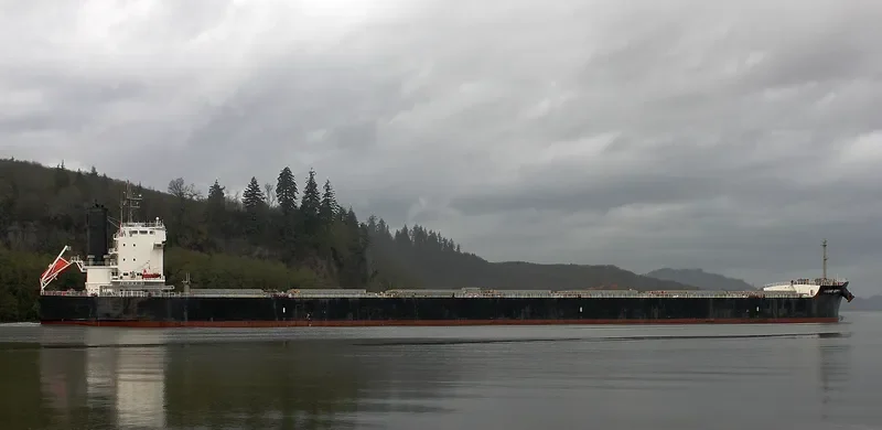 BRIGHT GEMINI Bulk Carrier IMO 9599092 photo 2