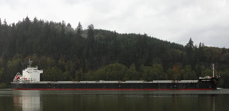 BRIGHT GEMINI Bulk Carrier IMO 9599092 photo 3
